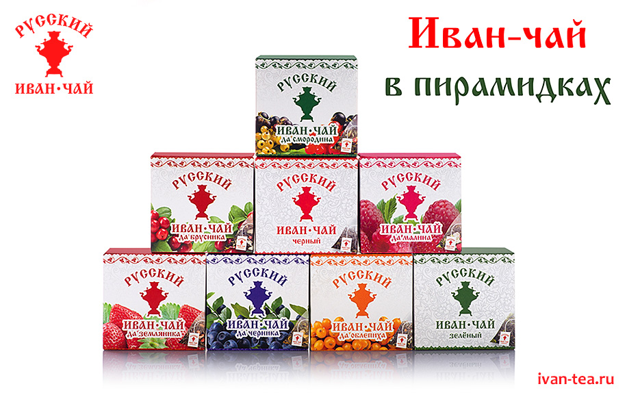 Купить Иван-чай в пирамидках от производителя Вологодский Иван-чай