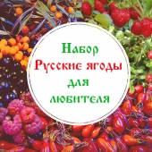 Набор Иван-чая "Русские ягоды. Для любителя" со скидкой 10%