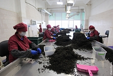 Компания «Торговый Дом «Русский чай» запустила новые производственные линии в городе Череповце