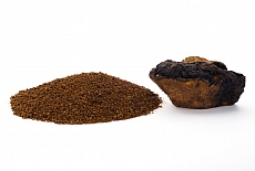Березовый гриб чага - полезные свойства и применение. Чай из чаги, отвар из чаги, настой из чаги и др.
